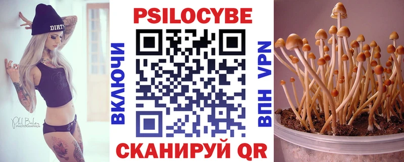 Галлюциногенные грибы MAGIC MUSHROOMS  купить  цена  Власиха 
